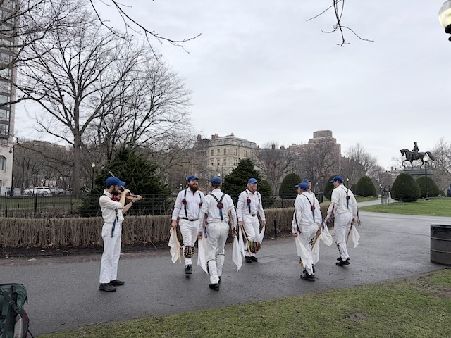 Newtowne Morris performing Stanton Harcourt Greensleaves on a path in the Public Garden, two lines of dancers in whites, suspenders, and blue caps facing across the set and leaning over to clash sticks on the ground, the musician playing a fiddle at the other end of the set.