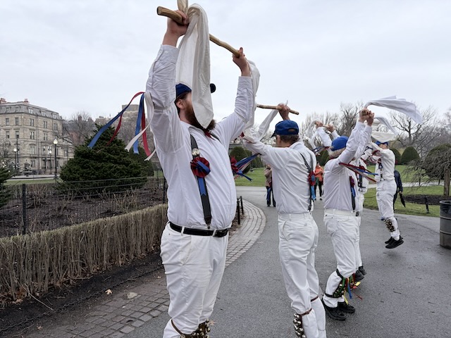 Newtowne Morris performing Stanton Harcourt Greensleaves on a path in the Public Garden, a single line of dancers in whites, suspenders, and blue caps holding sticks and hankies above their heads and facing in alternating directions.