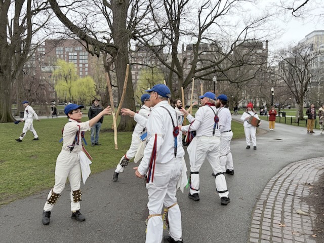 Newtowne Morris performing Fieldtown Balance the Straw on a path in the Public Garden, two lines of dancers in whites, suspenders, and blue caps facing across the set and tossing sticks to each other, the musician at the other end of the set.